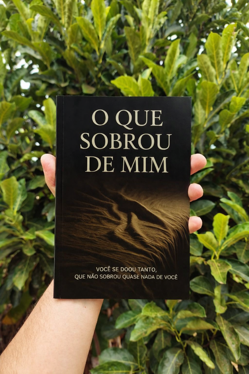 Capa do livro O que sobrou de mim